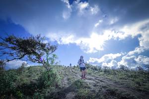 BIB: 
                            <button type="button" onclick="openModal(15955471)" class="btn btn-primary btn-sm float-right btn-popup" data-toggle="modal" data-target=".modal-high-quality">
                        <i class="fas fa-shopping-cart"></i> Add to Cart
                    </button>
                                            <button type="button" onclick="isThisMe(15955471, true)" class="btn btn-success btn-sm float-right btn-popup btn-isme hidden" data-toggle="tooltip" data-placement="bottom" title="นี่คือรูปของคุณใช่ไหม คลิกที่นี่เพื่อเอาเข้าอัลบั้ม">
                        <i class="fas fa-plus"></i> Add to album
                    </button>
                    <button type="button" onclick="isThisMe(15955471, false)" class="btn btn-warning btn-sm float-right btn-popup btn-isnotme hidden">
                        <i class="fas fa-ban"></i> Remove from album
                    </button>